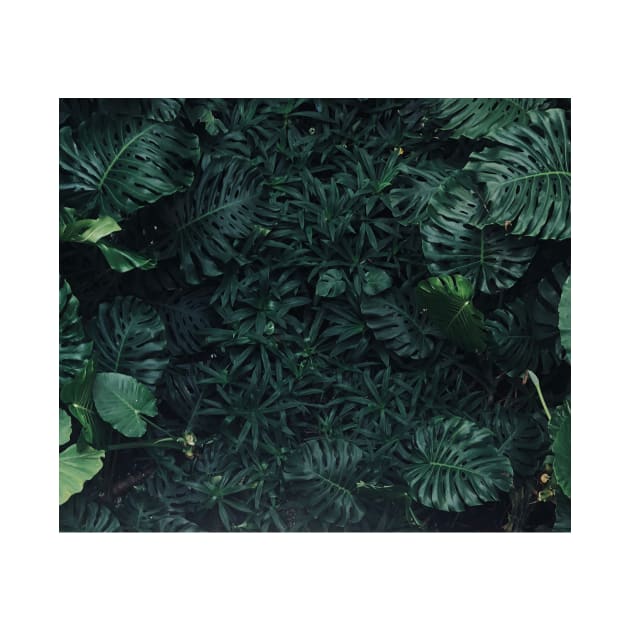 Luscious ferns by RoseAesthetic