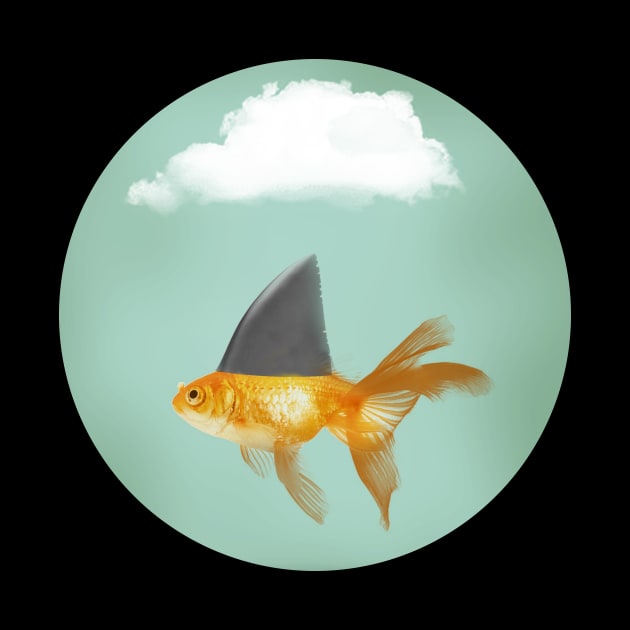 Goldfish Under a Cloud with a Shark Fin by Vin Zzep