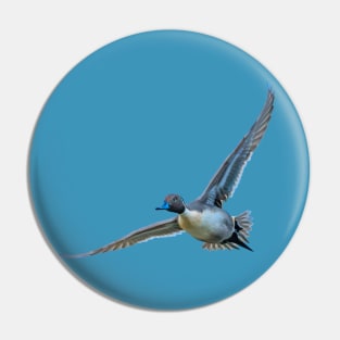 Pintail flyby Pin