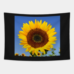 A Flower of Sun Tapestry