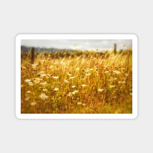 Dreams of a Summer Meadow Magnet