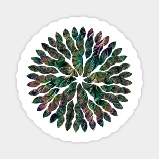 Iridescent Feathers Fractal Art Magnet