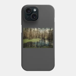 Swamp in Southeastern Georgia Phone Case