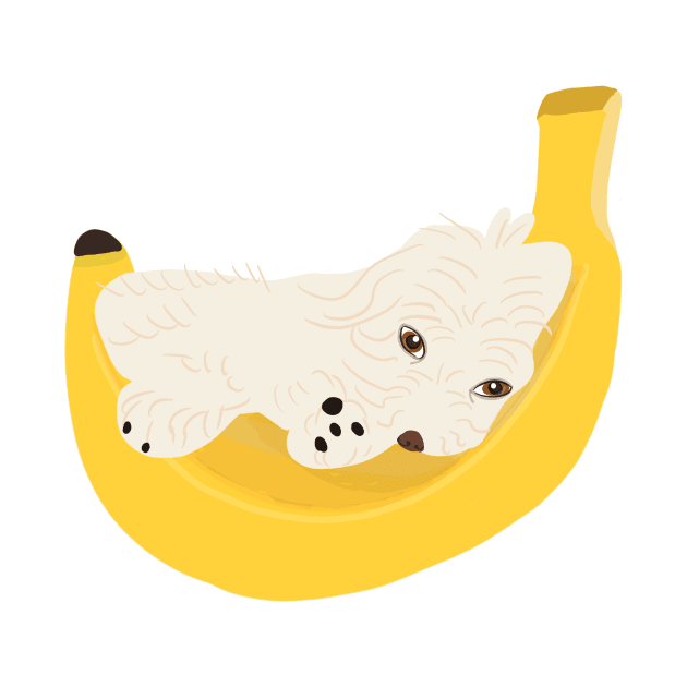 Cute Banana Maltipoo by PatternbyNOK