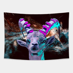 Capricorn Black Hole / Swiss Artwork Photography Tapestry