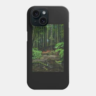 Otways Redwood Forest Phone Case