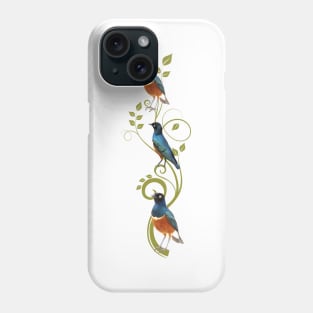 Superb Starling - Bird in Kenya / Afrika Phone Case