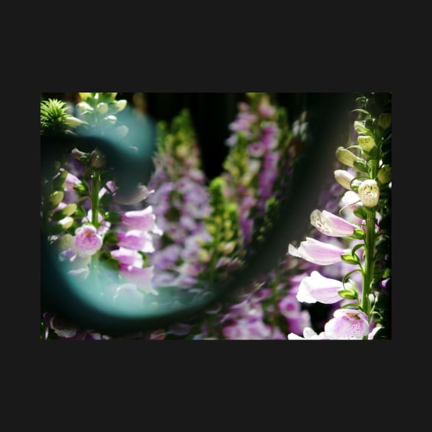 Peekaboo Foxglove by 1Redbublppasswo