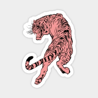 TIGER Magnet