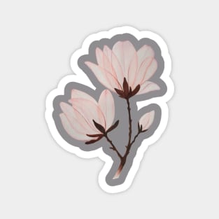 Magnolia Magnet