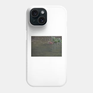 WGC_1223 Phone Case