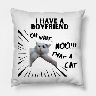 i have boyfriend. oh noo! thats a cat Pillow