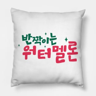 Twinkling Watermelon Korean Drama Pillow