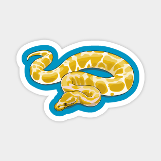 Burmese python snake cartoon illustration Magnet