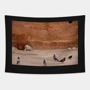 Maroc - Chat et pigeons Tapestry