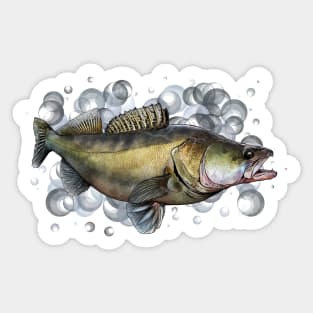 Walleye Funny Fishing Gift Stickers for Sale