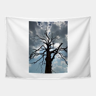 Tree Silhouette Tapestry