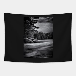 Gullwing Lake No 4 Tapestry