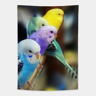 Parakeets Photo Tapestry
