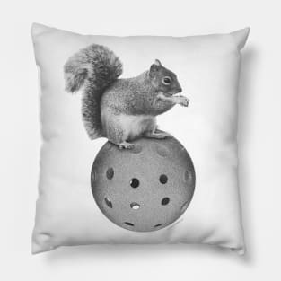 Squirrel on a Pickleball Pillow