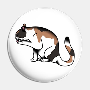 Cleanin’ Kitty Pin