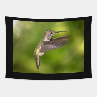 Anna's Hummingbird in Flight Tapestry