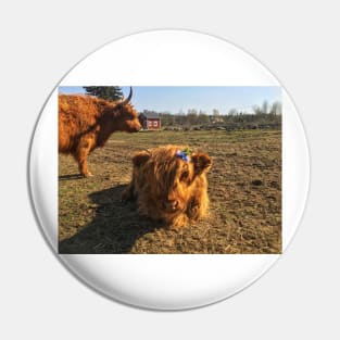 Scottish Highland Cattle Cow and Calf 1982 Pin