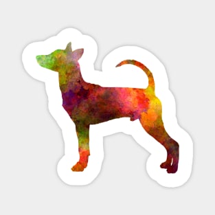 Taiwan Dog in watercolor Magnet