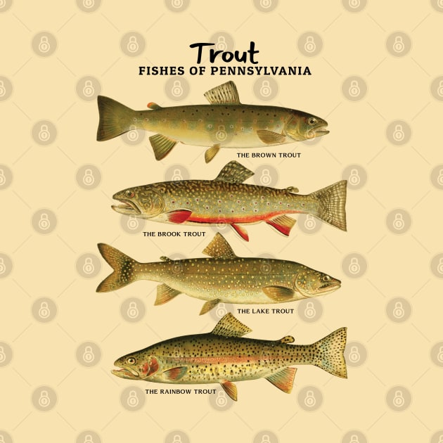Trout Fishes of Pennsylvania by KewaleeTee