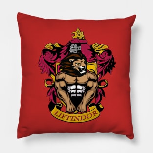 Liftindor Pillow