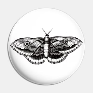 Dramabite Vintage butterfly illustration Pin