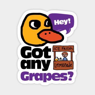 Hey! Got any Grapes? Magnet