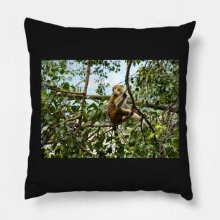 Planet Monkey Jungle Wildlife Pillow