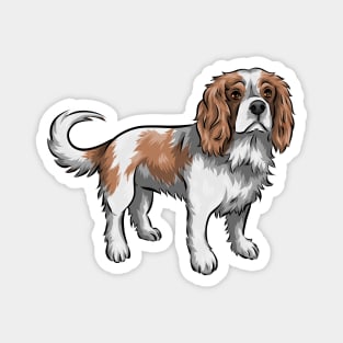 Cavalier King Charles Spaniel Dog | Blenheim Magnet