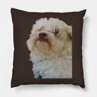 Grumpy Terrier Dog With Long White Hair Covering Eyes Pillow