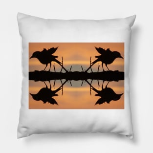 Sunrise Reflections with Birds - By Avril Thomas Pillow