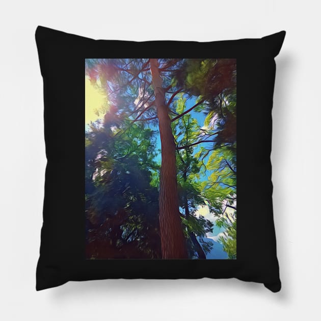 Tree in the sun Pillow by Dturner29