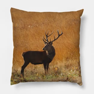 The Mighty Stag Pillow