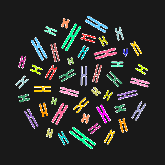 Human Colour Coded DNA (XY) by iconymous