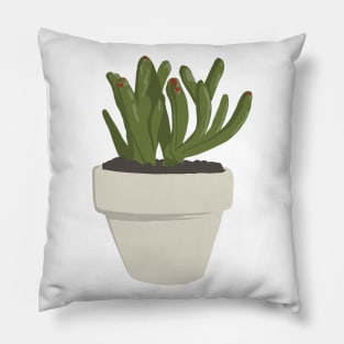 CNS Crassula Ovata - Gollum Pillow