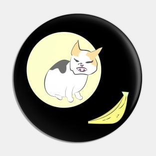 Smudge cat vs banana kitten meme Pin