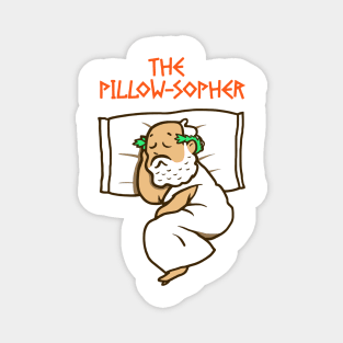 The Pillow-sopher Magnet