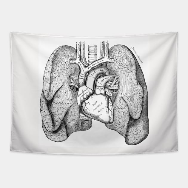 Anatomy tapestry hotsell