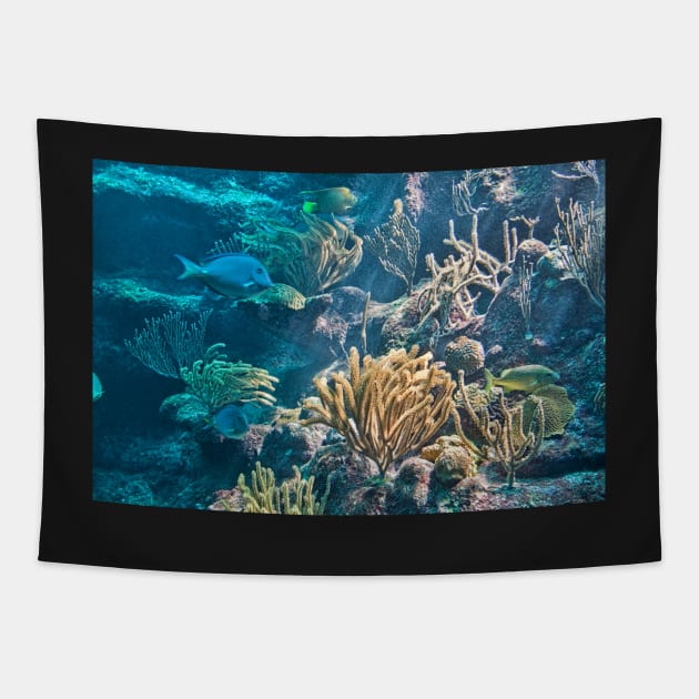 Aquarium. Xcaret Eco Park. Mexico Tapestry by vadim19