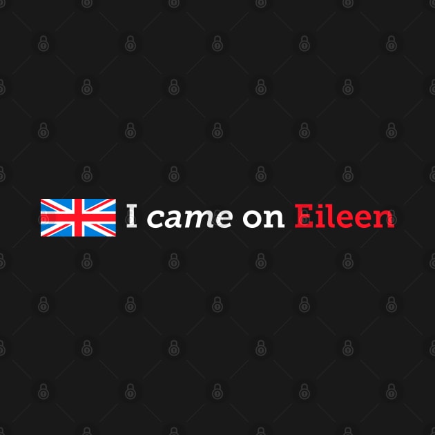 I Came On Eileen Funny 80s Music T-Design by Vector Deluxe