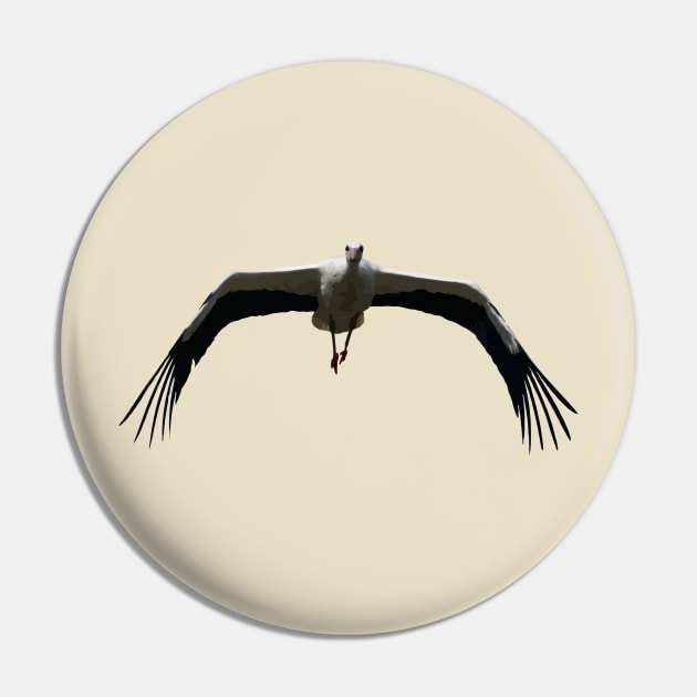 White Stork (Ciconia ciconia) Bird Wings Flapping Vector Pin by taiche