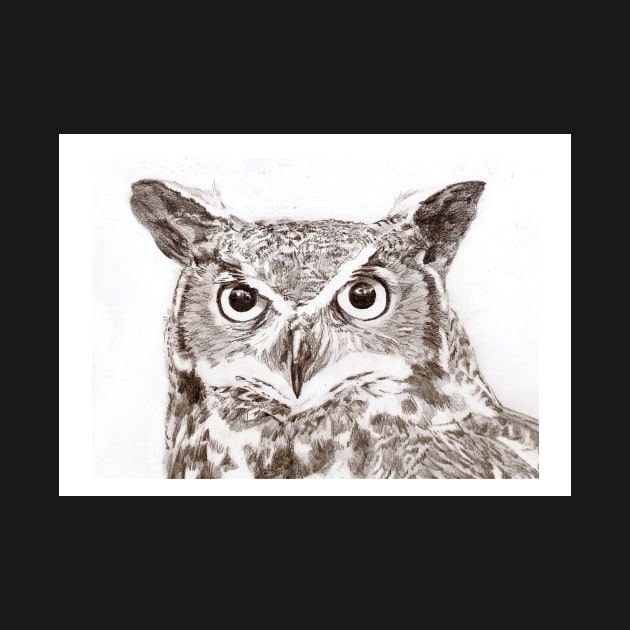Owl by Grant Hudson