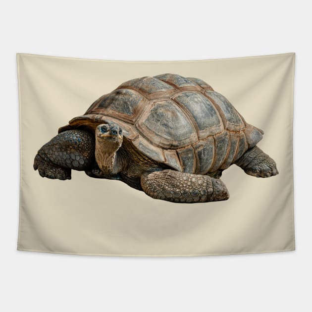 Giant Tortoise Tapestry by dalyndigaital2@gmail.com