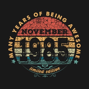 Born In November 1985 Vintage Shirt ,34th Years Old Shirts,Born In 1985,34th Anniversary 1985 Gift, T-Shirt