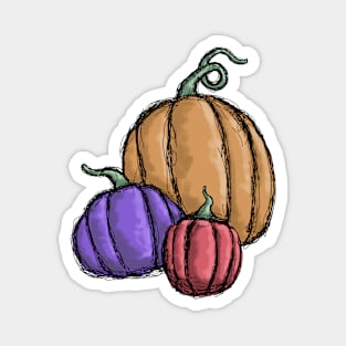 Pumpkins Magnet